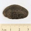 Dhofar XX1 Meteorite 5.6g