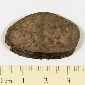 Dhofar XX1 Meteorite 6.4g