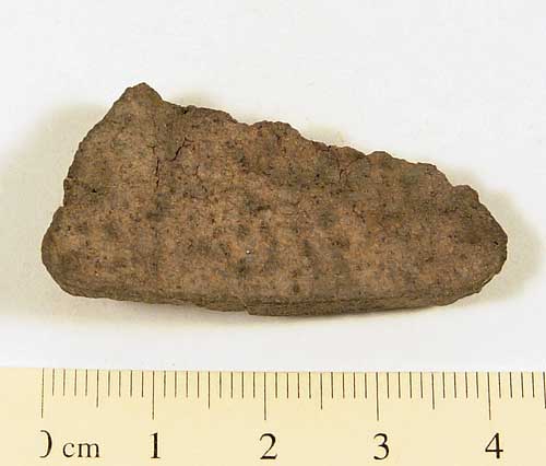 Dhofar XX1 Meteorite 9.5g