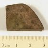 Dhofar XX1 Meteorite 8.6g