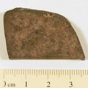 Dhofar XX1 Meteorite 10.3g