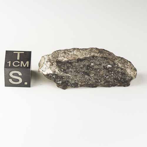Gold Basin Meteorite 10.1g Slice