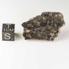 Gold Basin Meteorite 10.4g Slice