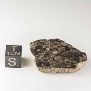 Gold Basin Meteorite 12.6g