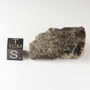 Gold Basin Meteorite 16.3g