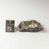 Gold Basin Meteorite 5.7g