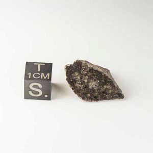 Gold Basin Meteorite 6.5g