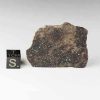 Gold Basin Meteorite 27.7g