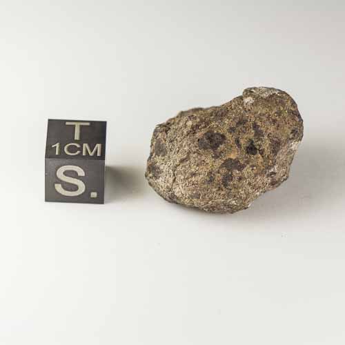 Gold Basin Meteorite 15.0g