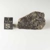 Gold Basin Meteorite 15.8g