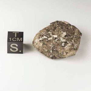 Gold Basin Meteorite 16.8g
