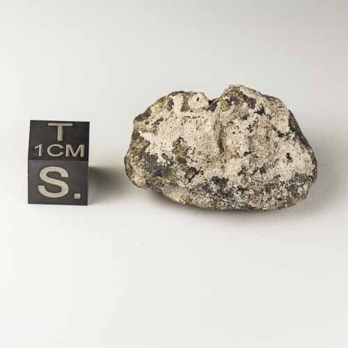 Gold Basin Meteorite 17.6g