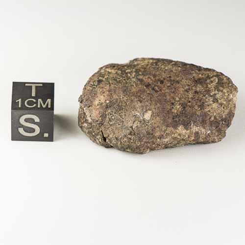 Gold Basin Meteorite 20.7g