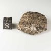 Gold Basin Meteorite 20.7g