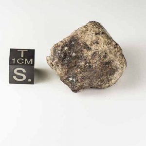 Gold Basin Meteorite 25.2g