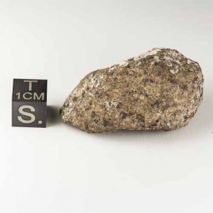 Gold Basin Meteorite 28.6g