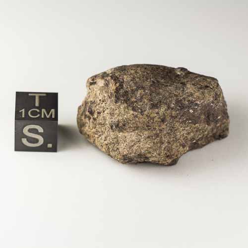 Gold Basin Meteorite 29.4g
