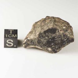 Gold Basin Meteorite 32.6g