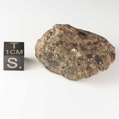 Gold Basin Meteorite 33.5g