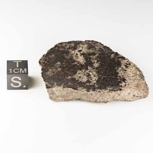 Gold Basin Meteorite 34.8g