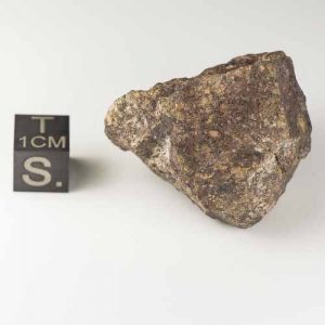Gold Basin Meteorite 39.9g