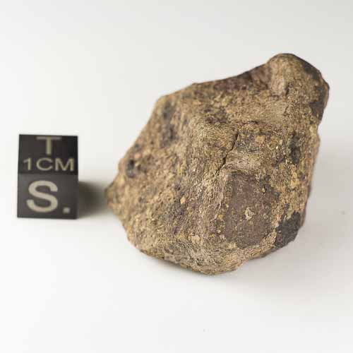 Gold Basin Meteorite 44.5g