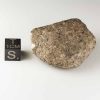 Gold Basin Meteorite 49.7g