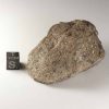 Gold Basin Meteorite 152.3g