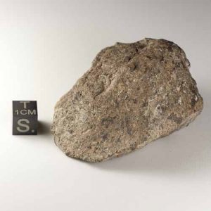 Gold Basin Meteorite 152.3g