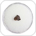 Grapevine Mesa CBa Meteorite