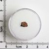 Grapevine Mesa Meteorite 0.14g