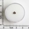Grapevine Mesa Meteorite 0.06g