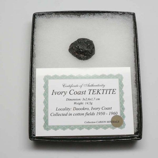 Ivory Coast Tektite 14.4g