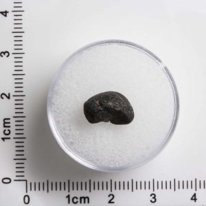 Javanite Tektite JAV-65