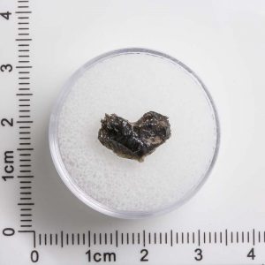 Javanite Tektite JAV-68