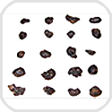 Javanite Tektites