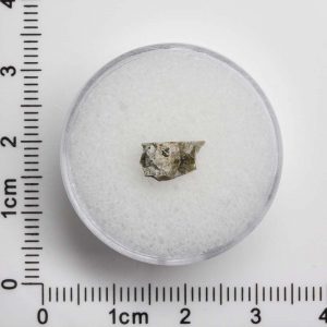 Johnstown Meteorite 254mg