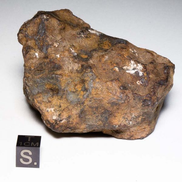 Odessa Meteorite 565.1g