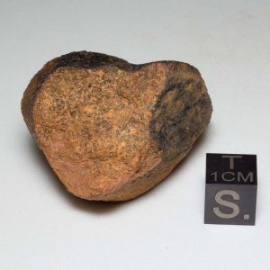 Millbillillie Meteorite 40.6g
