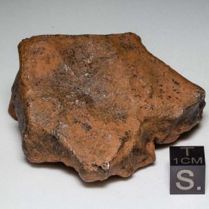 Millbillillie Meteorite 116.7g