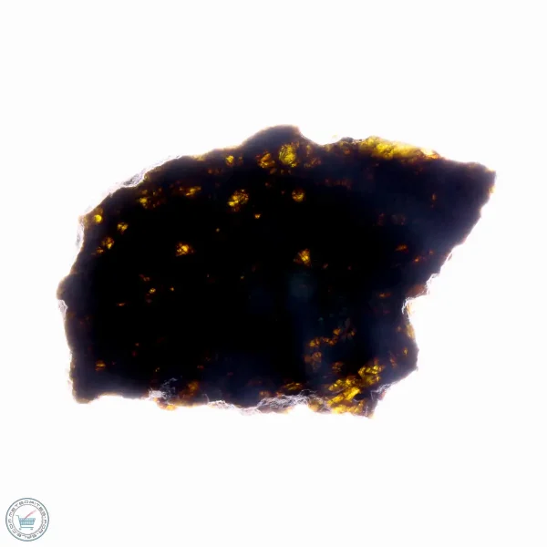 NWA 7831 Meteorite 16.9g