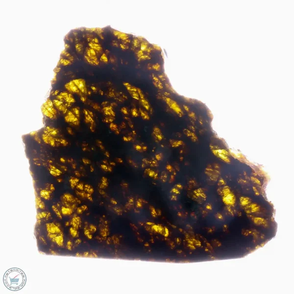 NWA 7831 Meteorite 21.7g