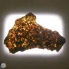 NWA 7831 Meteorite 85.5g