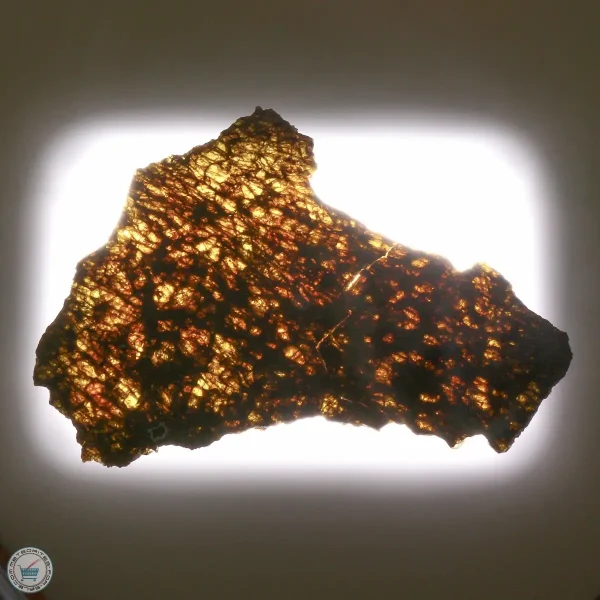 NWA 7831 Meteorite 85.5g