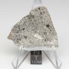 NWA 11899 Meteorite 6.08g