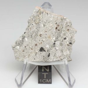NWA 11899 Meteorite 7.46g