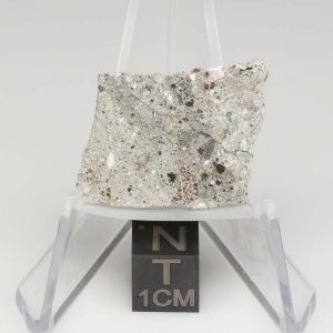 NWA 11899 Meteorite 2.82g