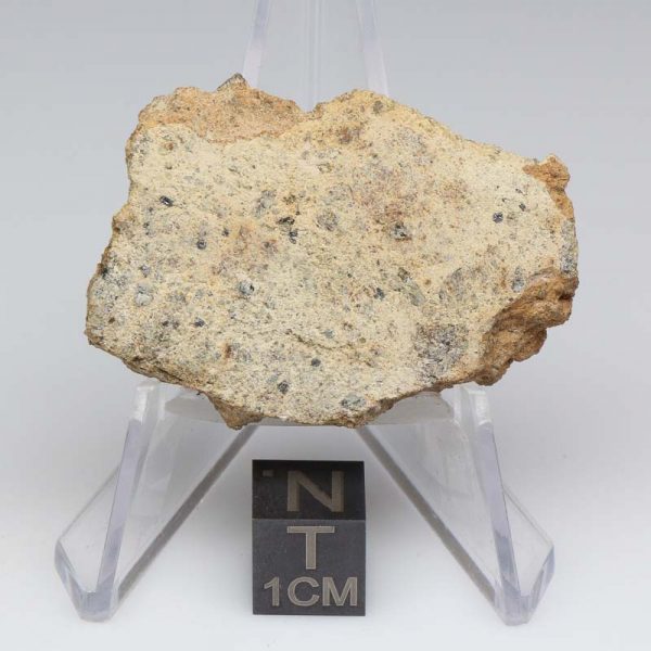 NWA 12927 Meteorite 21.2g End Cut