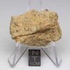 NWA 12927 Meteorite 21.2g End Cut