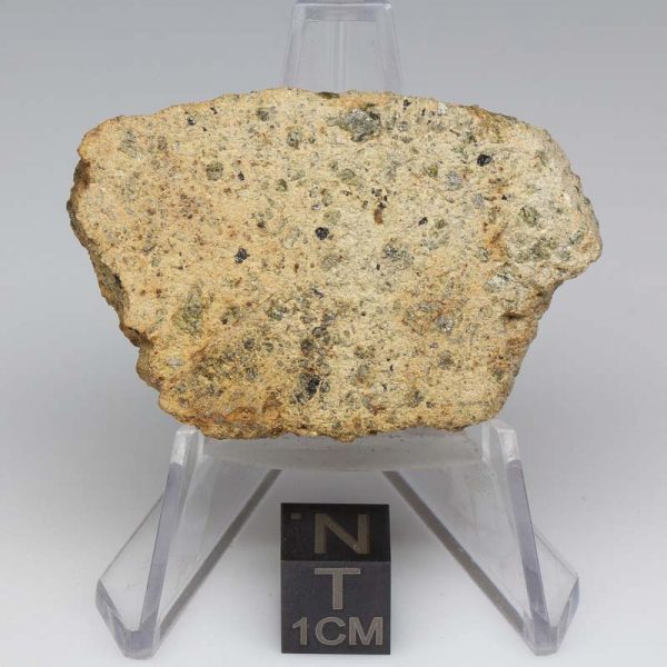NWA 12927 Meteorite 29.4g End Cut
